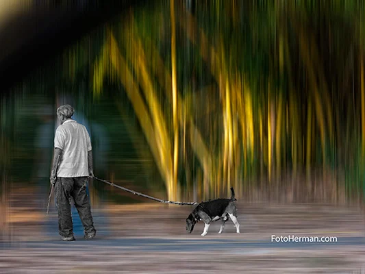 Fotografía profesional en Bucaramanga