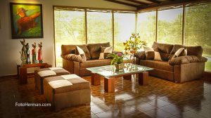 Muebles de sala tapizados