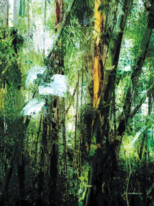 Fotografia decorativa Bogota