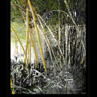 Foto de la exposición en la ciudad de Bucaramanga