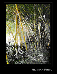Foto de la exposición en la ciudad de Bucaramanga