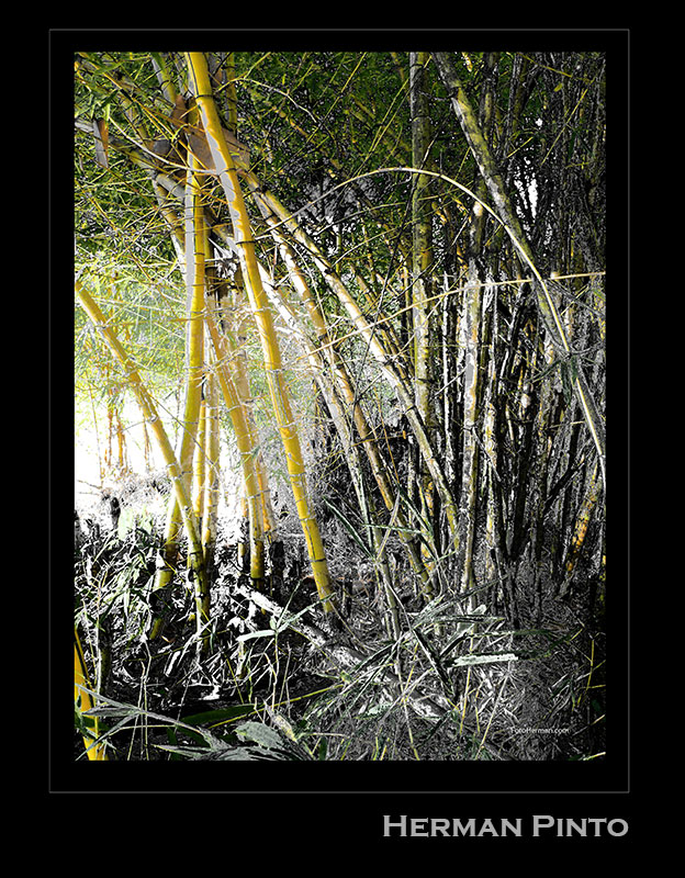 Foto de la exposición en la ciudad de Bucaramanga