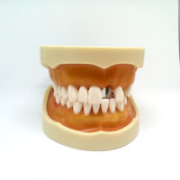 Foto de caja dientes tomada dentro de mini cubo de luz