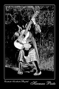 Fotografia experimental solarizacion