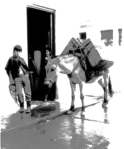 Foto solarizada de arriero