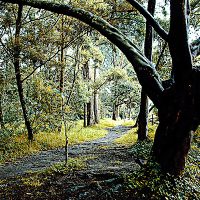 Bosque Humedal Còrdoba en Bogotá
