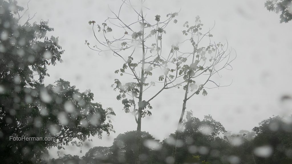 Paisaje en blanco y negro