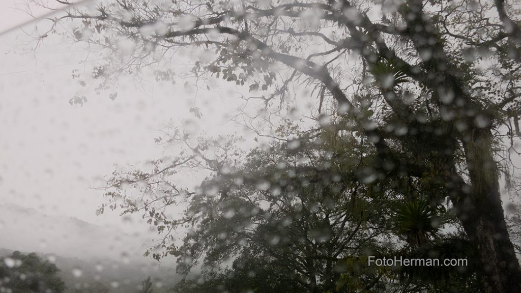 Paisaje en blanco y negro