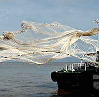 Pescador lanzando red al mar